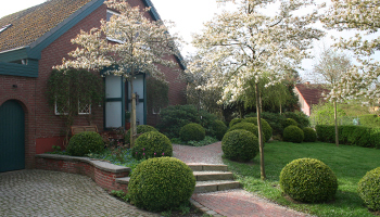 Gartengestaltung Bild